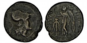 SYRIA - SELEUKID KINGDOM (246-241) BC .
 SELEUKOS II KALLINIKOS, Seleucia and Pieria, Antioch R1 copper
Obverse: Anépigraphe Head of Athena (Minerva) ...