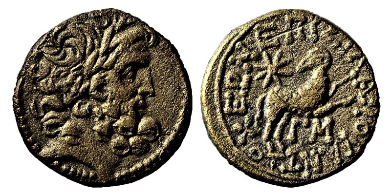 Seleukis and Pieria, Antioch, AD (13/14)
 Æ20. Pseudo-autonomous issue under Rom...