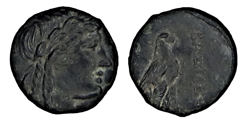 NORTHERN LEVANTE. Seleucids. Achaios, (220 - 214) BC.
 Chr. AE Mzst. Sardis. Obv...