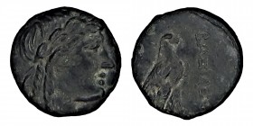 NORTHERN LEVANTE. Seleucids. Achaios, (220 - 214) BC.
 Chr. AE Mzst. Sardis. Obv .: head of Apollo with laurel wreath n. R. Rev .: ΒΑΣΙΛΕΩΣ eagle with...