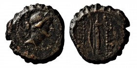 Seleukid Kingdom, Demetrios I, (162-150) BC.
 Soter, Bronze Æ, Antioch, Condition: nıce very, good
8,18 gr. 20,5 mm.