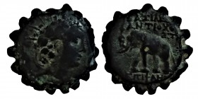 Seleucids. Antiochus VI. (144/142) BC.
NORTHERN LEVANTE. Seleucids. Antiochus VI. Epiphanes Dionysus, AE Mzst. Antioch on the Orontes. Vs.: Head with ...
