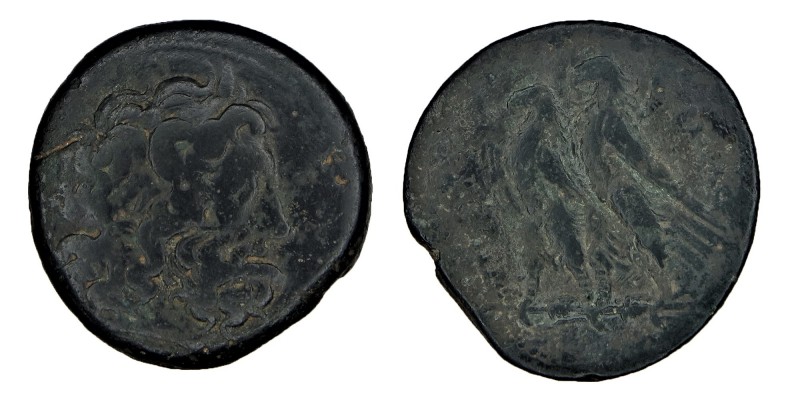 EGYPT, Kingdom of, Ptolemy, (221-204 B.C.)
Alexandria mint, obv. diademed head o...