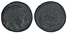 Makedonya Filip II İ.Ö. ( 300 ) BC.
6,66 gr. 16,9 mm.
