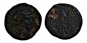 Seleukid Kingdom. Antioch on the Orontes. (146-138) BC.
Demetrios II Nikator Bronze Æ, Condition: very, good
7,15 gr. 20 mm.