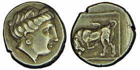 LESBOS, Mytilene. EL Hekte. Circa (377-326) BC.
 Katalognummer: Bodenstedt 88; HGC 6, 1014 corr. (bull right) Head of Persephone right, crowned with g...