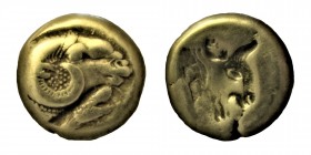 LESBOS, Mytilene. EL Hekte. Circa (377-326) BC.
(Electrum,Young male head to right, wearing taenia with frontal horn. Rev. Female, head to right, her ...