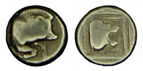 LESBOS, Mytilene. EL Hect. Electron Hect, (450-445). BC.
Boar protome n. R. constantly. Rv. Lion's head with open mouth n. R. in a line square, the wh...