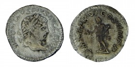 ANTONINUS PIUS. (CARACALLA) (138-161) AD.
 Drachm. Laurel's head r. Rs: Pax is l. with olive branch of scepter.Condition: very, good
2,92 gr. 18,5 mm.