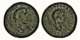 Antoninus Pius, with Marcus Aurelius, (141/143)
 as Caesar Æ Sestertius. Rome,ANTONIVS AVG PIVS P P TR P COS III, laureate head of Antoninus Pius righ...