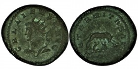 GALLIENUS (253-268).
 Antoninianus. Cyzicus. Obv: GALLIENVS AVG / SPQR. Radiate, draped and cuirassed bust left.
Rev: AETERNITAS AVG. Lupa Romana (she...