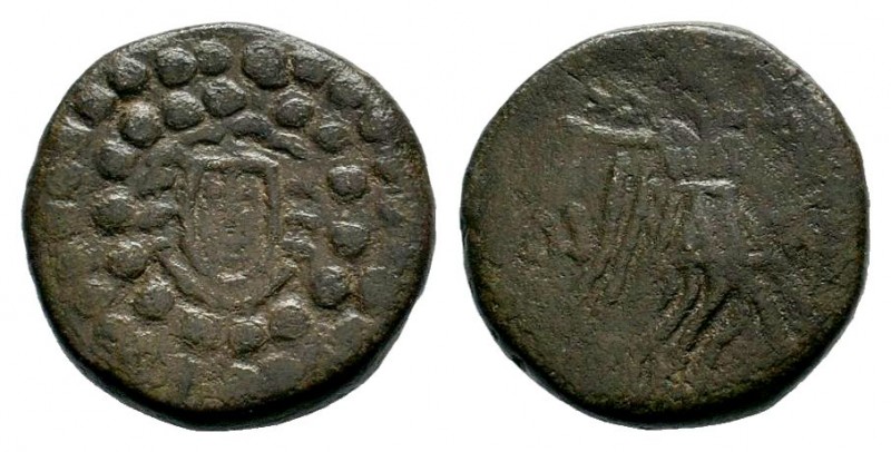 AMISOS. Pontos. 2nd-1st Century B.C
Condition: Very Fine

Weight: 5,50 gr
Diamet...