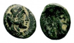 Greek Coins, 3rd century BC
Condition: Very Fine

Weight: 1,51 gr
Diameter: 12,30 mm