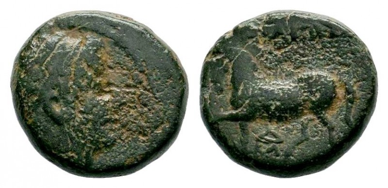 Ancient Greek Coin ,Horse Left,
Condition: Very Fine

Weight: 3,94 gr
Diameter: ...