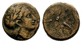 MYSIA. Gambrium. Ae (4th century BC).
Condition: Very Fine

Weight: 3,70 gr
Diameter: 15,50 mm