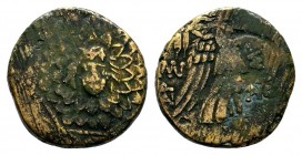 PONTOS, Amisos. 120-63 BC. Æ
Condition: Very Fine

Weight: 6,59 gr
Diameter: 16,75 mm