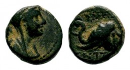 SELEUKIS & PIERIA. Seleukeia Pieria. Ae (1st century BC).
Condition: Very Fine

Weight: 2,80 gr
Diameter: 12,70 mm