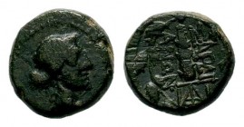 SELEUKIS & PIERIA. Seleukeia Pieria. Ae (1st century BC).
Condition: Very Fine

Weight: 3,67 gr
Diameter: 13,40 mm