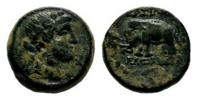 SELEUKIS & PIERIA. Seleukeia Pieria. Ae (1st century BC).
Condition: Very Fine

Weight: 3,66 gr
Diameter: 14,25 mm
