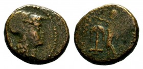 SELEUKIS & PIERIA. Seleukeia Pieria. Ae (1st century BC).
Condition: Very Fine

Weight: 7,43 gr
Diameter: 18,10 mm
