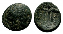 SELEUKIS & PIERIA. Seleukeia Pieria. Ae (1st century BC).
Condition: Very Fine

Weight: 5,90 gr
Diameter: 18,75 mm