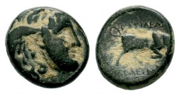 SELEUKIS & PIERIA. Seleukeia Pieria. Ae (1st century BC).
Condition: Very Fine

Weight: 6,82 gr
Diameter: 18,50 mm