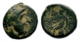 SELEUKIS & PIERIA. Seleukeia Pieria. Ae (1st century BC).
Condition: Very Fine

Weight: 3,68 gr
Diameter: 14,20 mm