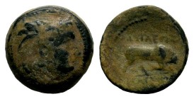 SELEUKIS & PIERIA. Seleukeia Pieria. Ae (1st century BC).
Condition: Very Fine

Weight: 5,70 gr
Diameter: 17,10 mm