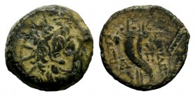 SELEUKIS & PIERIA. Seleukeia Pieria. Ae (1st century BC).
Condition: Very Fine

Weight: 8,13 gr
Diameter: 18,50 mm