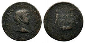 CILICIA, Diocaesarea. Trajan. AD 98-117. Æ
Condition: Very Fine

Weight: 17,51 gr
Diameter: 32,30 mm