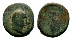 DOMITIAN AS CAESAR, A.D. 69-81. AE 
Condition: Very Fine

Weight: 5,18 gr
Diameter: 19,35 mm