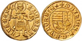Ungarn Königreich
Matthias Corvinus 1458 - 1490 Goldgulden o.J. ohne Mzz. 3,56g. Pohl.-- stgl