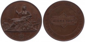 Italien Florenz
Stadt Br - Medaille 1887 Concorso - Agrarie - Regionale in Siena, von F. Peroni, Dm 40,5 mm. Florenz. 30,08g vz/stgl