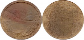 Bronzemedaille 1955 Fertigstellung der Tauernkraftwerke Glockner Kaprun, Dm. 75,5 mm, von Hartig in Original Etui. Wien. 152,03g stgl