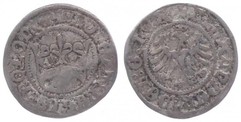 Polen Alexander 1501 - 1506
 Halbgroschen o. J. Krakau. 0,87g. Knickspur. Gumow...