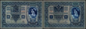 Österreichisch-ungarische Bank (Kronen)
 1000 Kronen 2.1.1902, Richter-152a, K&K-115a I