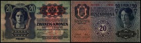 Aufdruck Deutschösterreich (altes Datum) 1920
 Lot 10 Stück, 20 Kronen II., DÖ mittig auf Wappen, Richter-180b, K&K-137a I