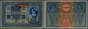 Aufdruck Deutschösterreich (altes Datum) 1920
 Lot 3 Stück, 1000 Kronen (1902) Richter-188a (seltener)189b (P.Var.) K&K-147a,148b I/II