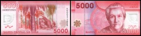 5000 Pesos 2009, 163a I