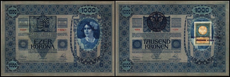 Finanzministerium
 1000 K 1902(1919) P-5/10A (Ri-A5/12a) Kombination Aufdruck/K...