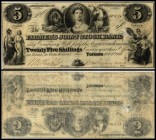 Specialized issues
 5 $ 1.2.1849, P-S1765 Farmers Joint Stock Bank III-