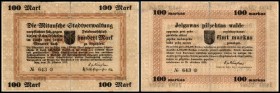 Notgeld (LE = Katalog Grabowski/Huschka/Schamberg 2006)
 100 Rb. 20.10.1915, LE-34 Mitau Text deutsch/lettisch II-I
