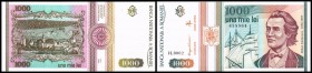 Republik / Nationalbank
 1000 Lei Mai 1993, P-102 I