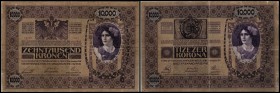 Abstempelung von österr.-ung. Kronenbanknoten (1919)
 10.000 K 1902, Ri-A23b Timbru Special auf ung. Seite (Siebenbürgen) III-