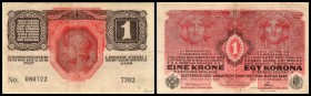Räteregierung / Béla Kun (März bis August 1919)
 1 Krone 1916(1919) Serie über 7000, Ri-446b (P-10) III