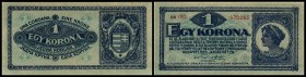 Finanzministerium
 1 Krone 1920, P-57 I