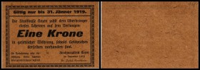 1 Krone Nov.1918-31.1.1919, Prägestempel unten Mitte, rare, zu Richter-127/Ibb1 Bozen, Südtirol - Stadt