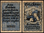 Linz
 Buchhandel F. Steurer 1 Krone rot, 1 Krone blau I