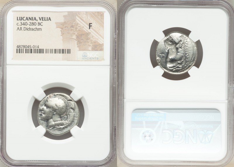 LUCANIA. Velia. Ca. 340-280 BC. AR didrachm or stater (22mm, 3h). NGC Fine. Head...