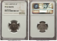 Edward VII Matte Proof 6 Pence 1902 PR63 NGC, KM799. Light pewter color with magnificent details.

HID09801242017
